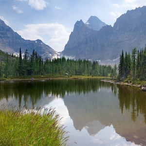 精品高清成人AV
